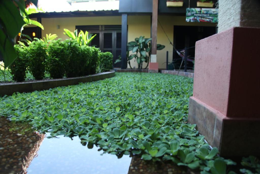 Hotel Amazon Bed And Breakfast Leticia Ngoại thất bức ảnh